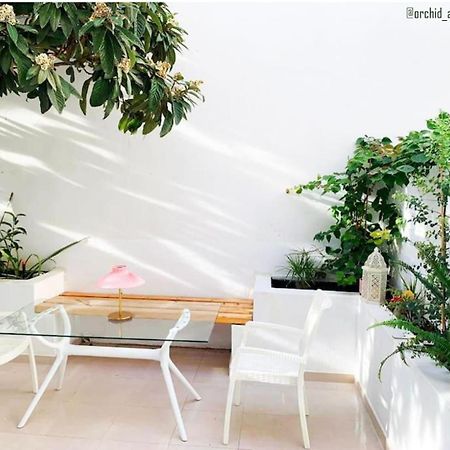 Orchid Apartments 데미 외부 사진