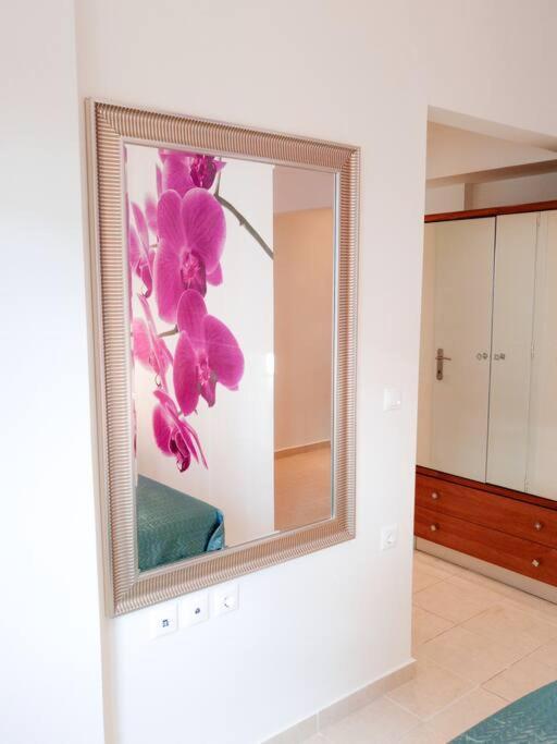 Orchid Apartments 데미 객실 사진