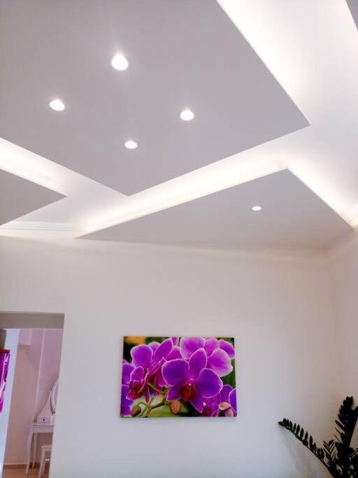 Orchid Apartments 데미 객실 사진