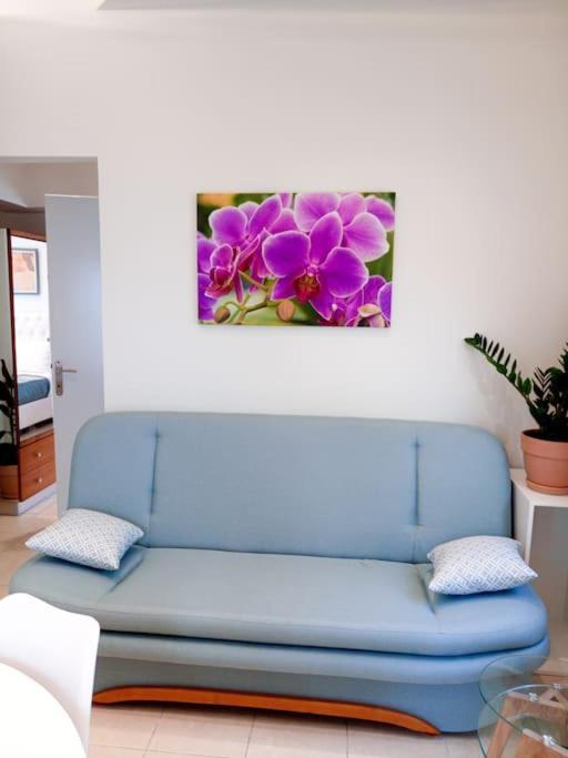 Orchid Apartments 데미 객실 사진