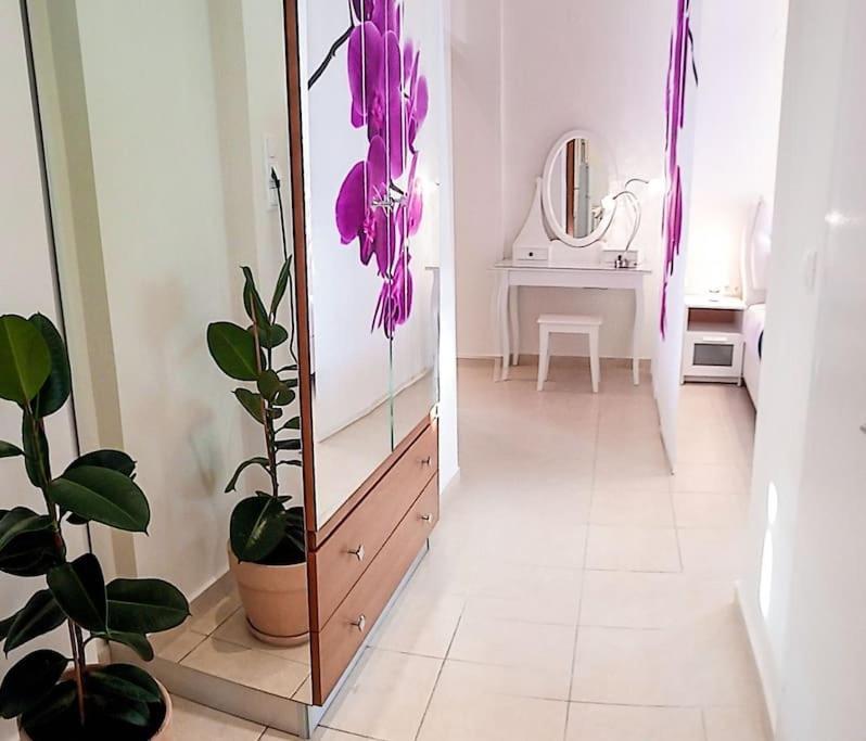 Orchid Apartments 데미 객실 사진