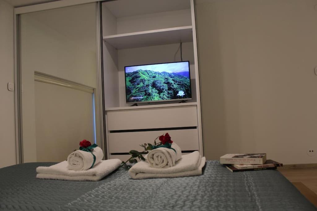 Orchid Apartments 데미 객실 사진