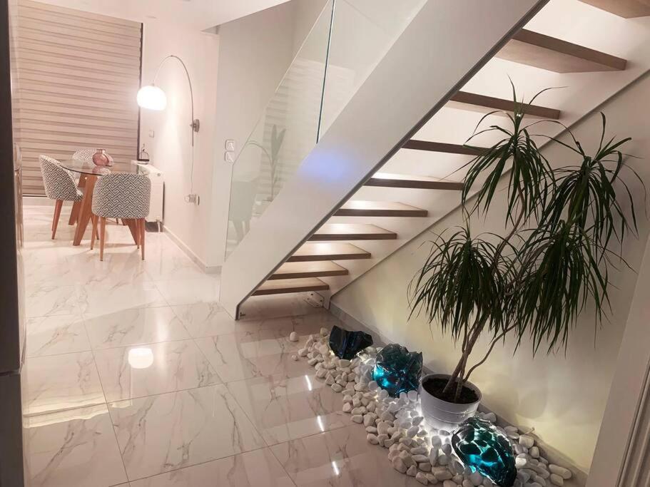 Orchid Apartments 데미 객실 사진