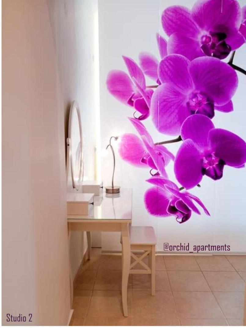 Orchid Apartments 데미 외부 사진