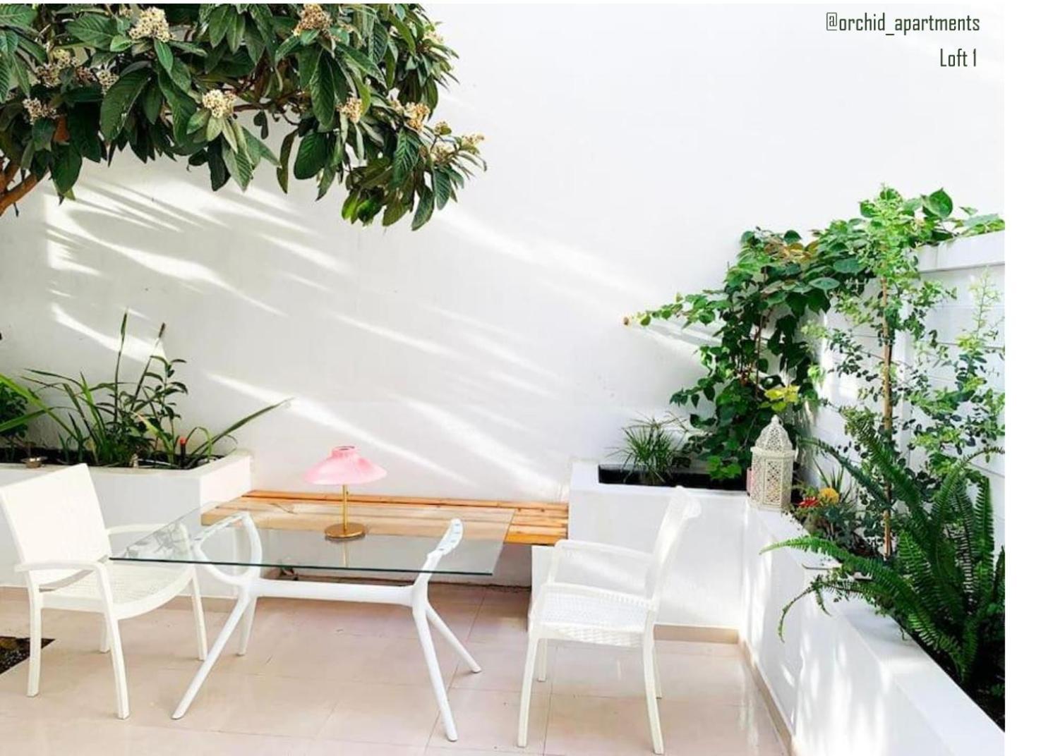 Orchid Apartments 데미 외부 사진